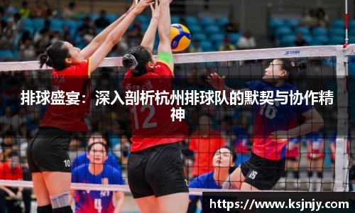 排球盛宴：深入剖析杭州排球队的默契与协作精神